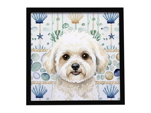 White and Cream Bichon Frise Coastal Sea Glass Framed Metal Print Bathroom, Kitchen, Office, Home Decor Wall Art Ready to Hang, Square, 8X8