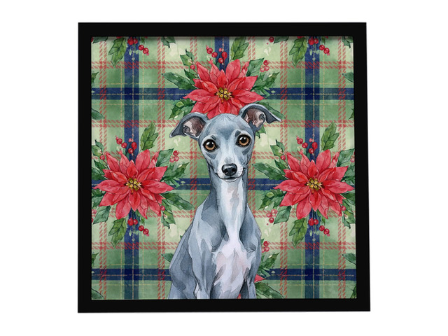 Blue Italian Greyhound Christmas PoinsettIas Framed Metal Print Bathroom, Kitchen, Office, Home Decor Wall Art Ready to Hang, Square, 8X8