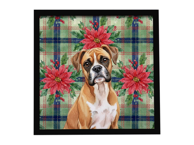 Boxer Christmas PoinsettIas Framed Metal Print Bathroom, Kitchen, Office, Home Decor Wall Art Ready to Hang, Square, 8X8