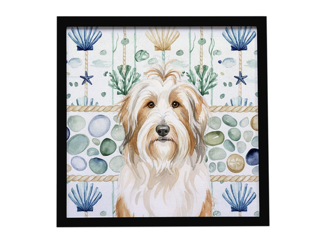 White and Tan Bearded Collie Coastal Sea Glass Framed Metal Print Bathroom, Kitchen, Office, Home Decor Wall Art Ready to Hang, Square, 8X8