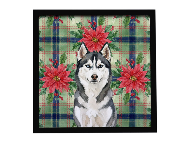 Siberian Husky Christmas PoinsettIas Framed Metal Print Bathroom, Kitchen, Office, Home Decor Wall Art Ready to Hang, Square, 8X8