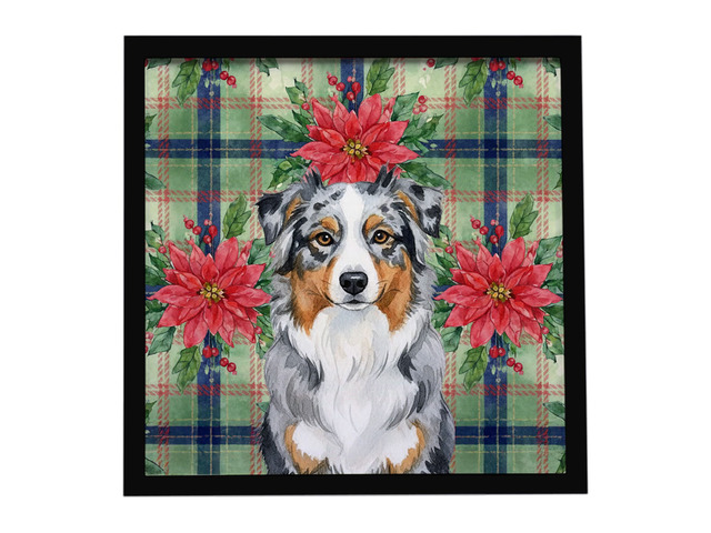 Blue Merle Australian Shepherd Christmas PoinsettIas Framed Metal Print Bathroom, Kitchen, Office, Home Decor Wall Art Ready to Hang, Square, 8X8