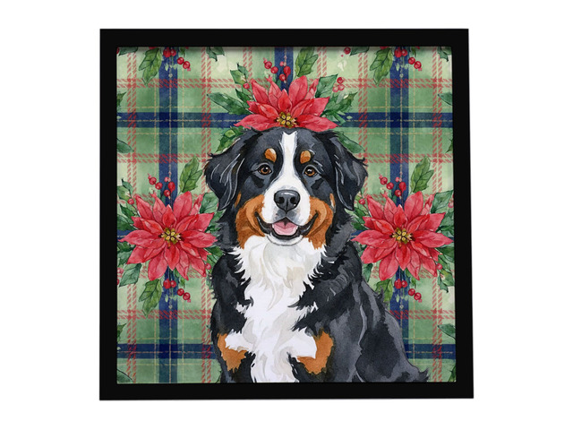 Bernese Mountain Dog Christmas PoinsettIas Framed Metal Print Bathroom, Kitchen, Office, Home Decor Wall Art Ready to Hang, Square, 8X8