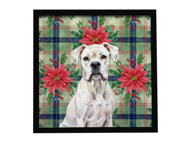 White Boxer Christmas PoinsettIas Framed Metal Print Bathroom, Kitchen, Office, Home Decor Wall Art Ready to Hang, Square, 8X8