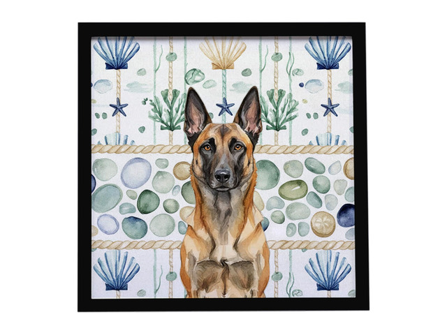 Belgian Malinois Coastal Sea Glass Framed Metal Print Bathroom, Kitchen, Office, Home Decor Wall Art Ready to Hang, Square, 8X8