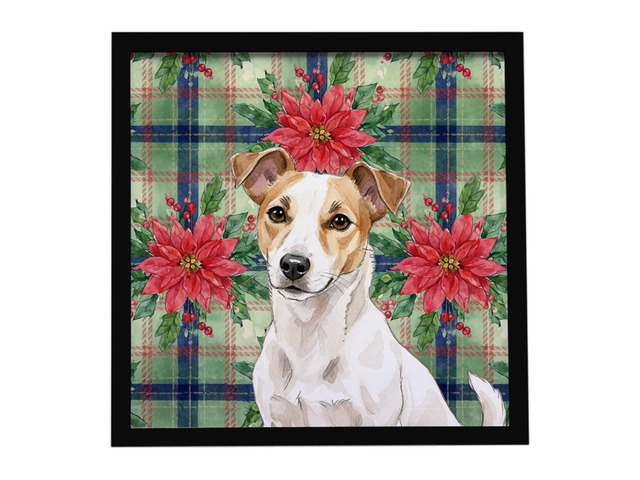 White and Tan Jack Russell Terrier Christmas PoinsettIas Framed Metal Print Bathroom, Kitchen, Office, Home Decor Wall Art Ready to Hang, Square, 8X8