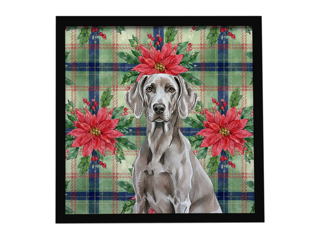 Weimaraner Christmas PoinsettIas Framed Metal Print Bathroom, Kitchen, Office, Home Decor Wall Art Ready to Hang, Square, 8X8