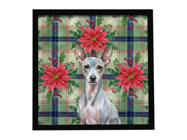 American Hairless Terrier Christmas PoinsettIas Framed Metal Print Bathroom, Kitchen, Office, Home Decor Wall Art Ready to Hang, Square, 8X8