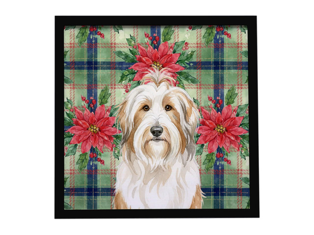 White and Tan Bearded Collie Christmas PoinsettIas Framed Metal Print Bathroom, Kitchen, Office, Home Decor Wall Art Ready to Hang, Square, 8X8