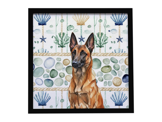 Mahogany Belgian Malinois Coastal Sea Glass Framed Metal Print Bathroom, Kitchen, Office, Home Decor Wall Art Ready to Hang, Square, 8X8