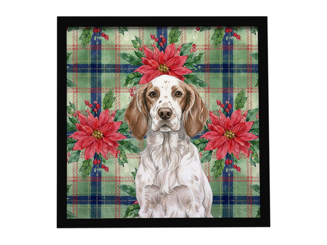 Liver Belton English Setter Christmas PoinsettIas Framed Metal Print Bathroom, Kitchen, Office, Home Decor Wall Art Ready to Hang, Square, 8X8
