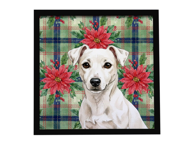 White Jack Russell Terrier Christmas PoinsettIas Framed Metal Print Bathroom, Kitchen, Office, Home Decor Wall Art Ready to Hang, Square, 8X8