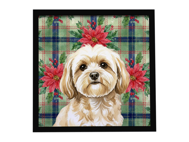 Cream Lhasa Apso Christmas PoinsettIas Framed Metal Print Bathroom, Kitchen, Office, Home Decor Wall Art Ready to Hang, Square, 8X8