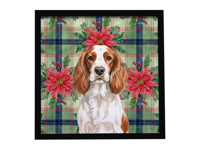 Welsh Springer Spaniel Christmas PoinsettIas Framed Metal Print Bathroom, Kitchen, Office, Home Decor Wall Art Ready to Hang, Square, 8X8