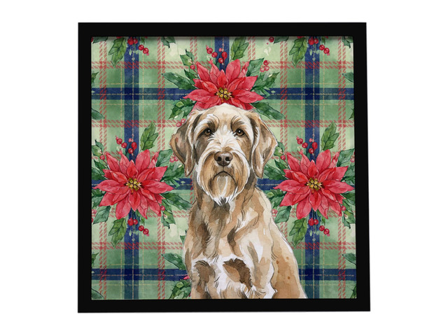 Spinone Italiano Christmas PoinsettIas Framed Metal Print Bathroom, Kitchen, Office, Home Decor Wall Art Ready to Hang, Square, 8X8