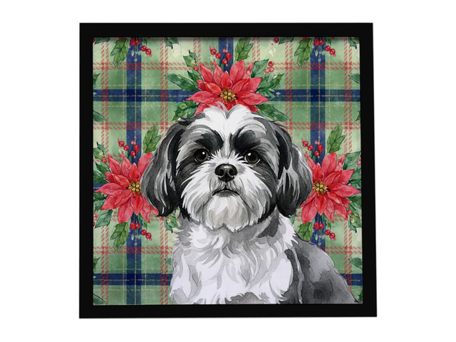 Black and White Shih Tzu Christmas PoinsettIas Framed Metal Print Bathroom, Kitchen, Office, Home Decor Wall Art Ready to Hang, Square, 8X8
