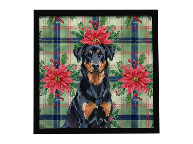Beauceron Christmas PoinsettIas Framed Metal Print Bathroom, Kitchen, Office, Home Decor Wall Art Ready to Hang, Square, 8X8