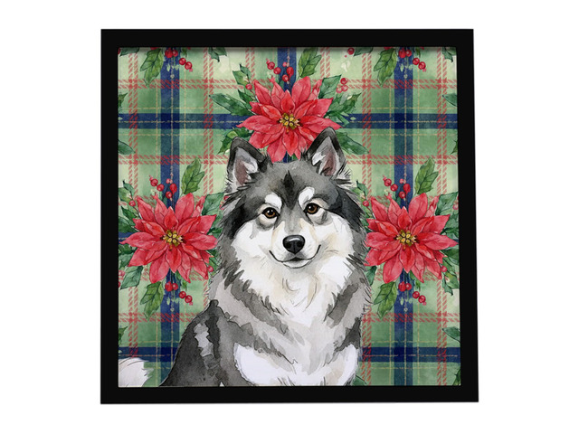 Keeshond Christmas PoinsettIas Framed Metal Print Bathroom, Kitchen, Office, Home Decor Wall Art Ready to Hang, Square, 8X8