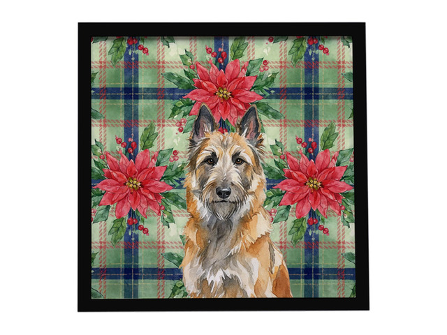 Belgian Laekenois Christmas PoinsettIas Framed Metal Print Bathroom, Kitchen, Office, Home Decor Wall Art Ready to Hang, Square, 8X8