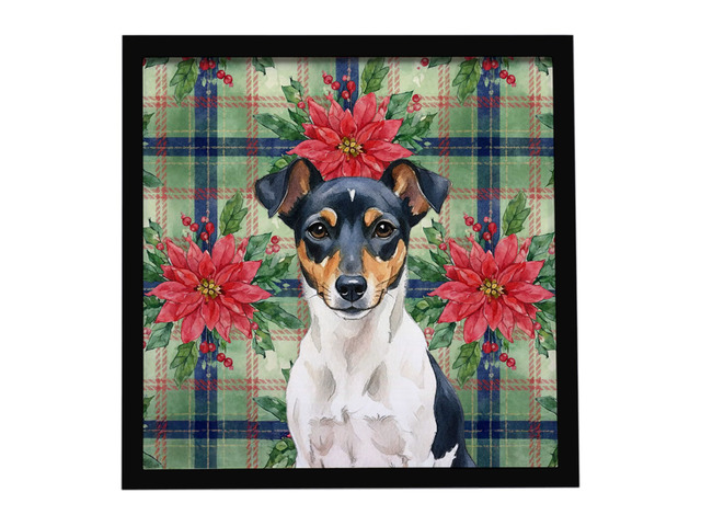 Tricolor Rat Terrier Christmas PoinsettIas Framed Metal Print Bathroom, Kitchen, Office, Home Decor Wall Art Ready to Hang, Square, 8X8