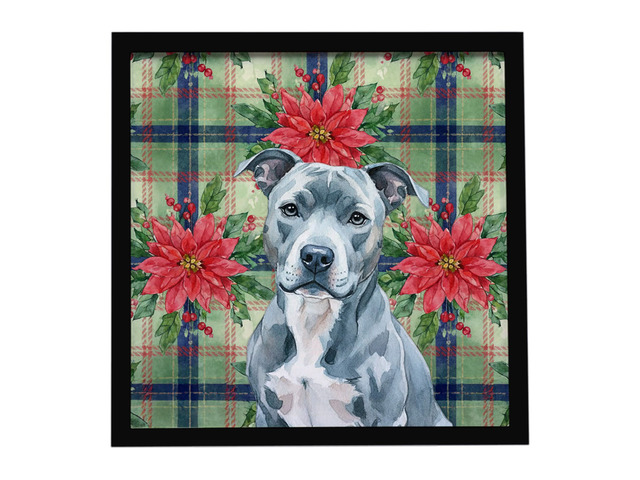 Blue American Staffordshire Terrier Christmas PoinsettIas Framed Metal Print Bathroom, Kitchen, Office, Home Decor Wall Art Ready to Hang, Square, 8X8