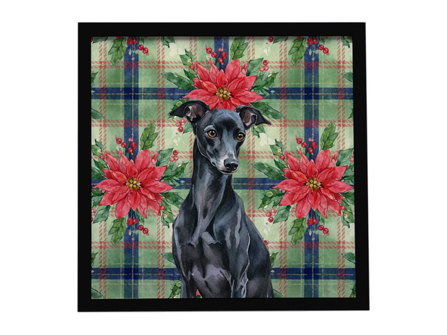 Black Italian Greyhound Christmas PoinsettIas Framed Metal Print Bathroom, Kitchen, Office, Home Decor Wall Art Ready to Hang, Square, 8X8