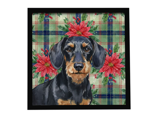 Wirehaired Black and Tan Dachshund Christmas PoinsettIas Framed Metal Print Bathroom, Kitchen, Office, Home Decor Wall Art Ready to Hang, Square, 8X8