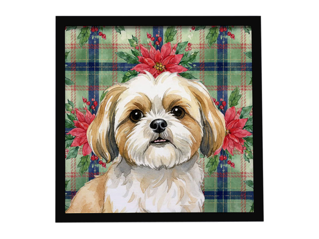 Gold and White Shih Tzu Christmas PoinsettIas Framed Metal Print Bathroom, Kitchen, Office, Home Decor Wall Art Ready to Hang, Square, 8X8