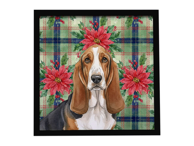Tricolor and White Basset Hound Christmas PoinsettIas Framed Metal Print Bathroom, Kitchen, Office, Home Decor Wall Art Ready to Hang, Square, 8X8