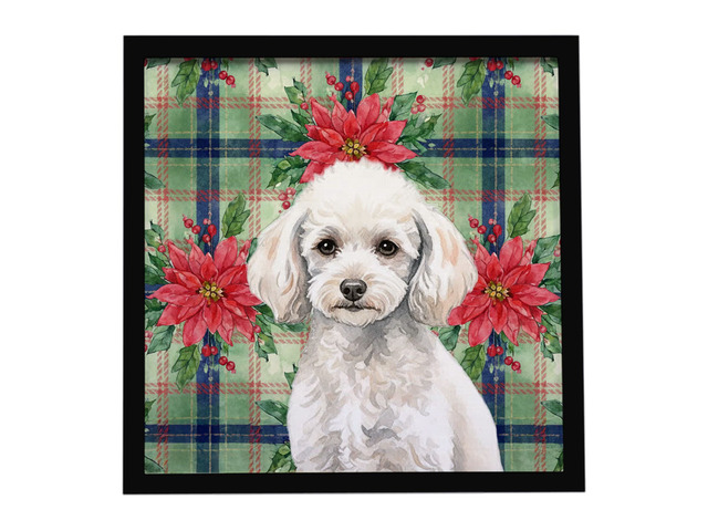 Miniature White Poodle Christmas PoinsettIas Framed Metal Print Bathroom, Kitchen, Office, Home Decor Wall Art Ready to Hang, Square, 8X8