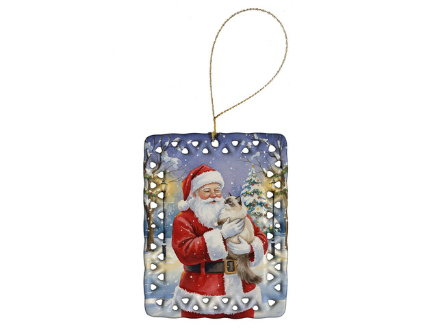 Ragdoll Cat with Santa Claus Porcelain Ornament Christmas Tree Hanging Decorations for Home Christmas Holiday, Rectangle, Gift, Multicolor