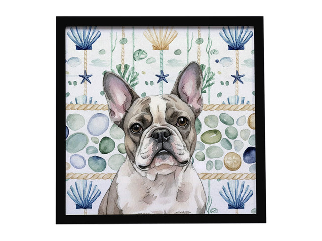 Pied French Bulldog Coastal Sea Glass Framed Metal Print Bathroom, Kitchen, Office, Home Decor Wall Art Ready to Hang, Square, 8X8