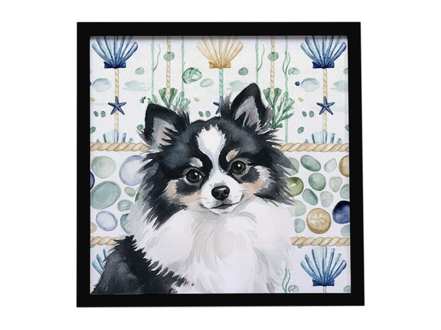 Black and White Pomeranian Coastal Sea Glass Framed Metal Print Bathroom, Kitchen, Office, Home Decor Wall Art Ready to Hang, Square, 8X8