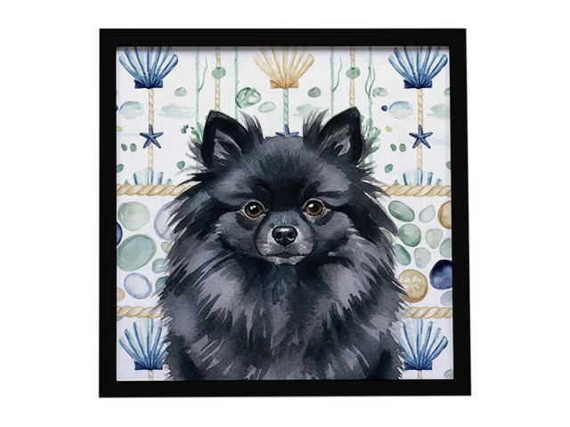 Black Pomeranian Coastal Sea Glass Framed Metal Print Bathroom, Kitchen, Office, Home Decor Wall Art Ready to Hang, Square, 8X8
