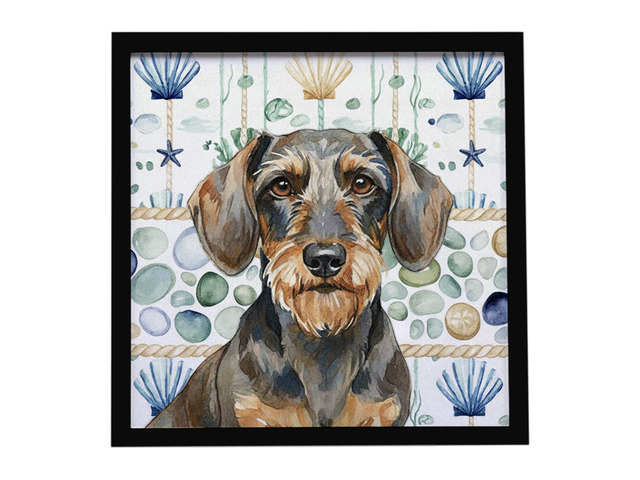 Wirehaired Wild Boar Dachshund Coastal Sea Glass Framed Metal Print Bathroom, Kitchen, Office, Home Decor Wall Art Ready to Hang, Square, 8X8