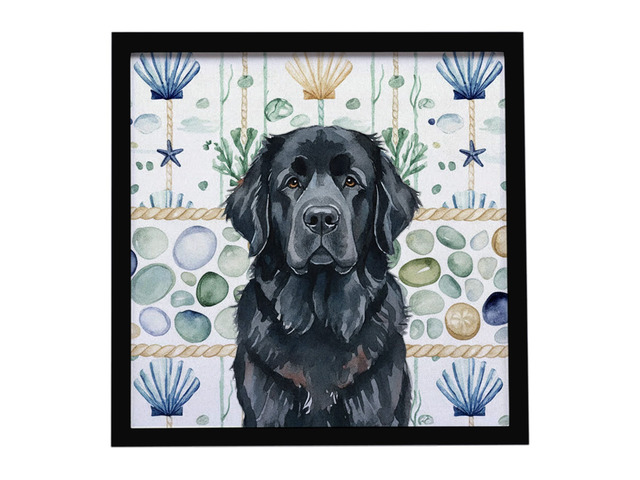 Black Newfoundland Coastal Sea Glass Framed Metal Print Bathroom, Kitchen, Office, Home Decor Wall Art Ready to Hang, Square, 8X8