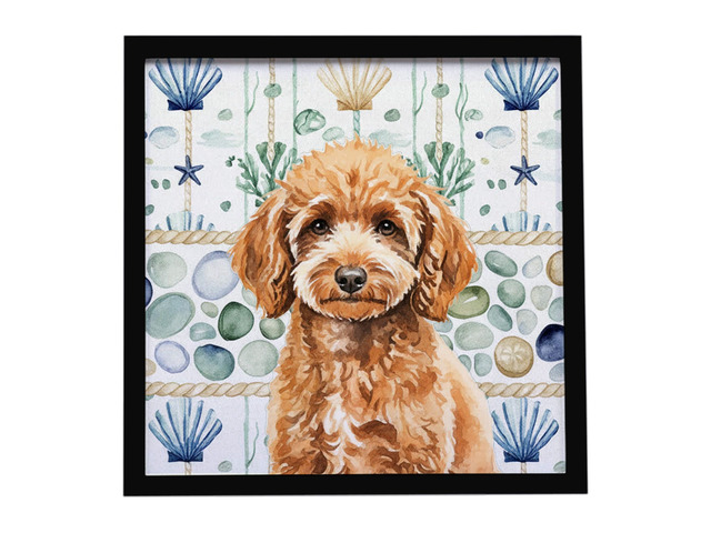 Miniature Apricot Poodle Coastal Sea Glass Framed Metal Print Bathroom, Kitchen, Office, Home Decor Wall Art Ready to Hang, Square, 8X8