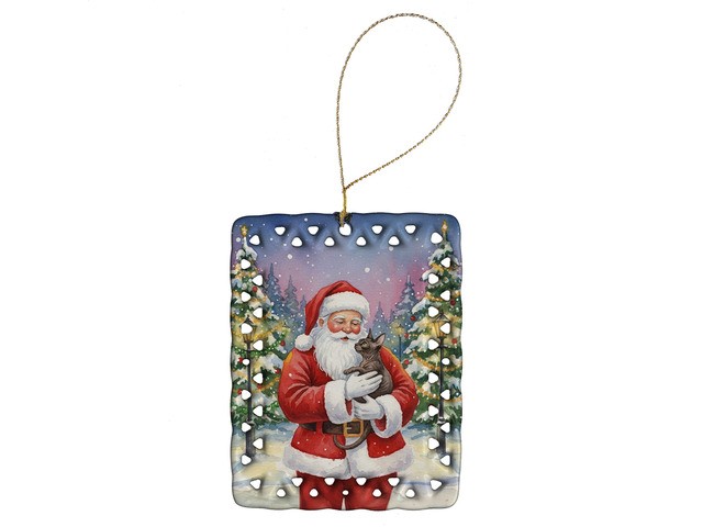 Lykoi Cat with Santa Claus Porcelain Ornament Christmas Tree Hanging Decorations for Home Christmas Holiday, Rectangle, Gift, Multicolor