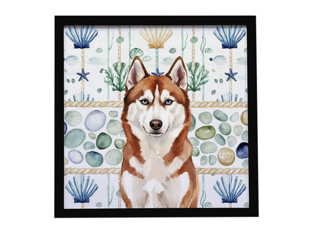 Red and White Siberian Husky Coastal Sea Glass Framed Metal Print Bathroom, Kitchen, Office, Home Decor Wall Art Ready to Hang, Square, 8X8
