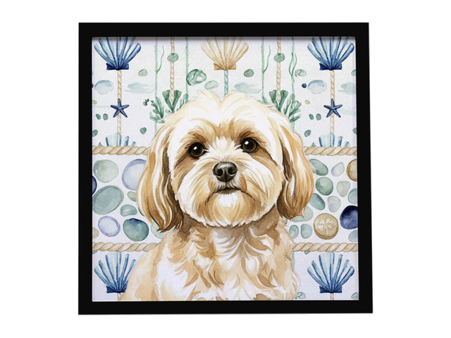 Cream Lhasa Apso Coastal Sea Glass Framed Metal Print Bathroom, Kitchen, Office, Home Decor Wall Art Ready to Hang, Square, 8X8