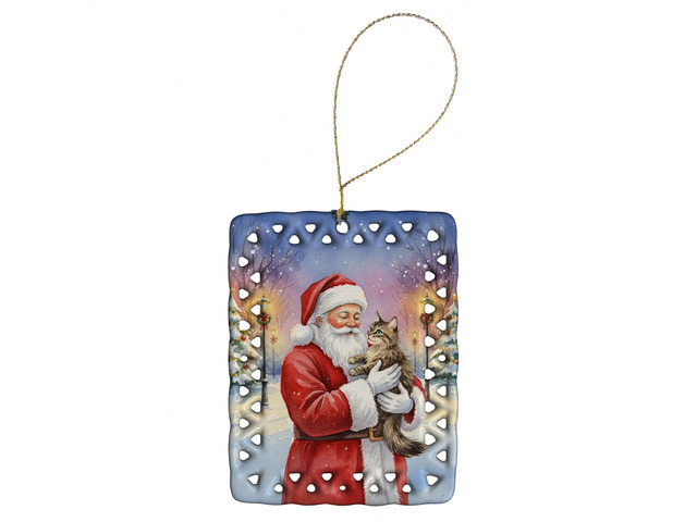 American Wirehair Cat with Santa Claus Porcelain Ornament Christmas Tree Hanging Decorations for Home Christmas Holiday, Rectangle, Gift, Multicolor