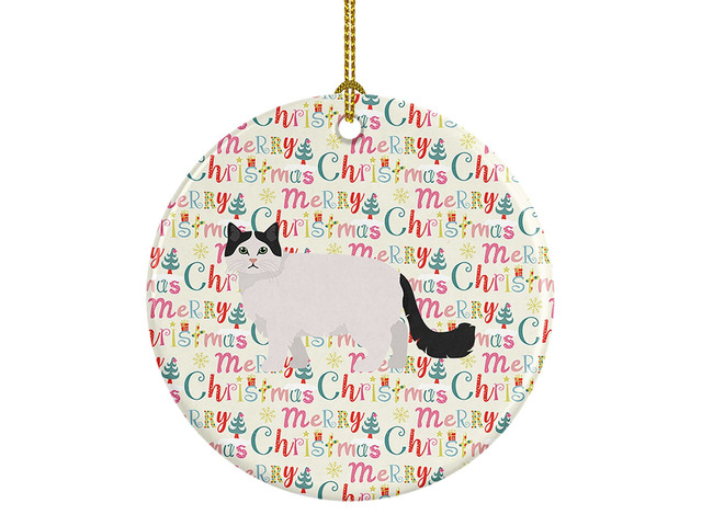 Ragamuffin #1 Cat Christmas Ceramic Ornament Christmas Tree Hanging Decorations for Home Christmas Holiday, Party, Gift, 3 in, Multicolor