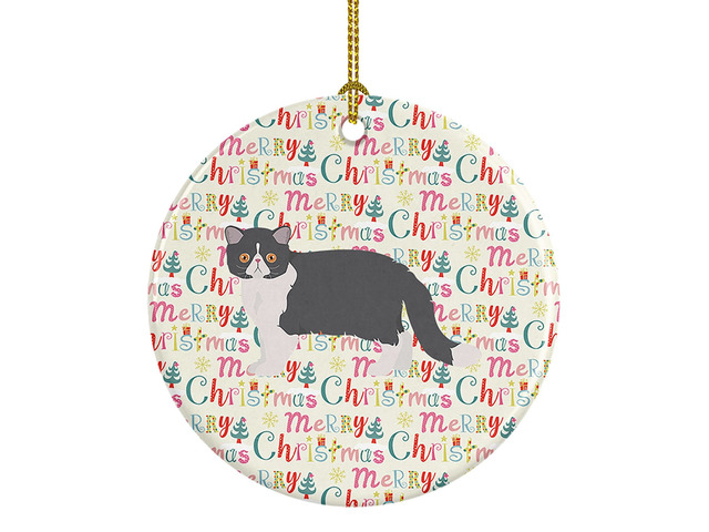 Exotic Shorthair #2 Cat Christmas Ceramic Ornament Christmas Tree Hanging Decorations for Home Christmas Holiday, Party, Gift, 3 in, Multicolor