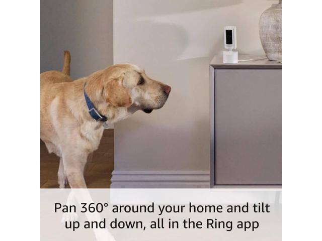 Ring - Pan-Tilt Indoor Security Cam with 360° Horizontal Pan Coverage, Live View & Two-Way Talk, and HD Video - Black - image 5