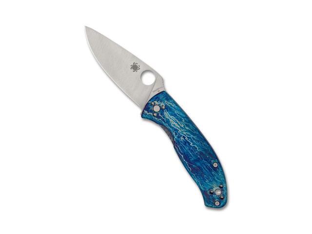 Spyderco Tenacious Steel Blade Foldable Pocket Knife, Satin Blade, Blue Handle