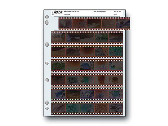 PrintFile 35mm Film Negative Archival Storage Protector Sheet - 25 Sheets