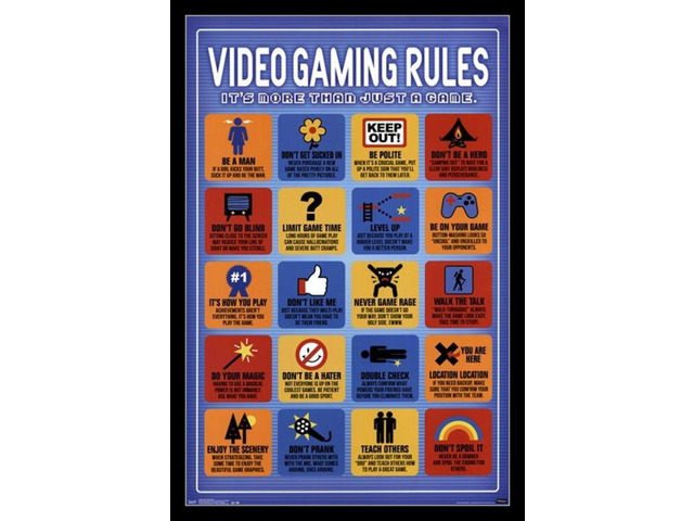 Video Game Rules Laminated & Framed Poster Print (22 x 34)