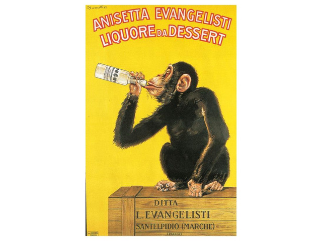 Anisetta Chimp Poster Print Chimp Drinking Poster Print (22 x 34)