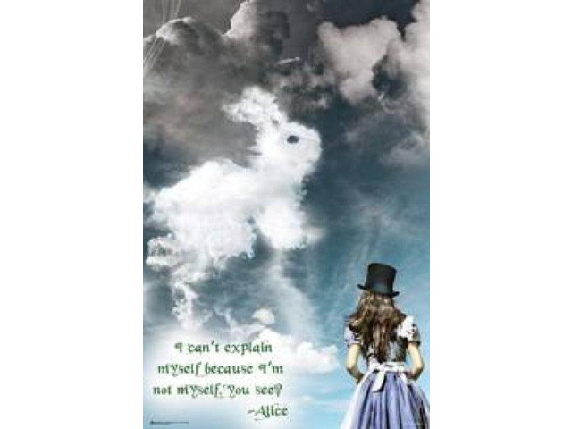 Alice In Wonderland Illusions Poster Print (22 x 34)
