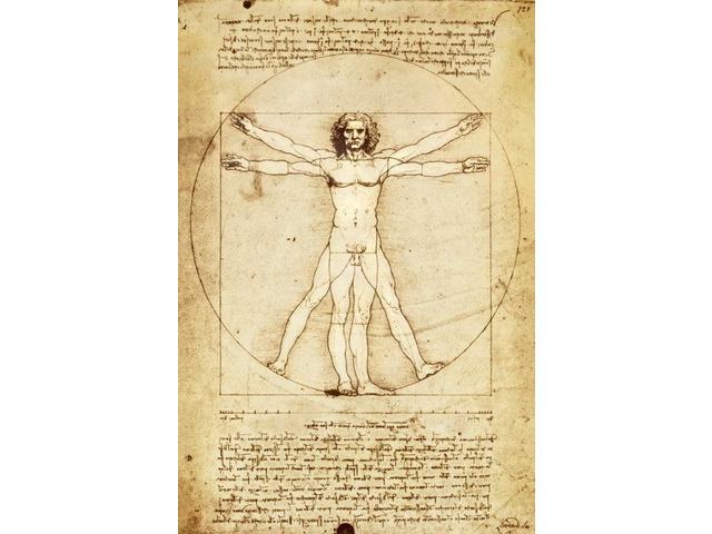 Da Vinci Vitruvian Man Poster Print (22 x 34)